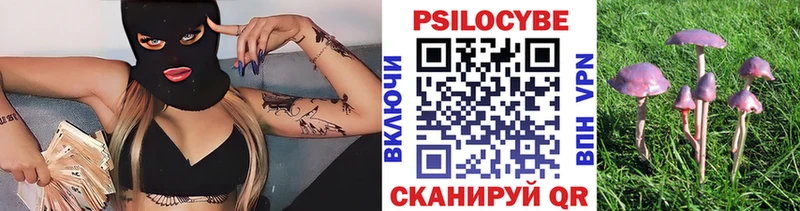Галлюциногенные грибы Psilocybine cubensis  Алдан 